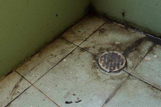 Como se desbloqueia um banheiro mal entupido