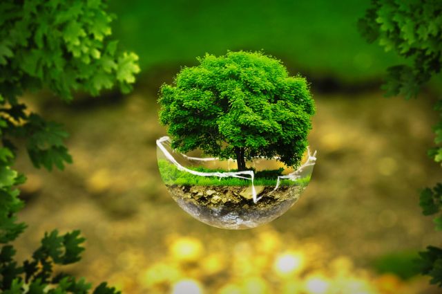 Como a Consultoria Ambiental Pode Transformar Usinas Solares e Construtoras